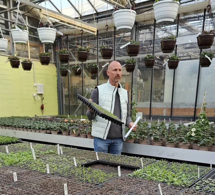 Gärtnerei Schliebener eGbR – Bild 4