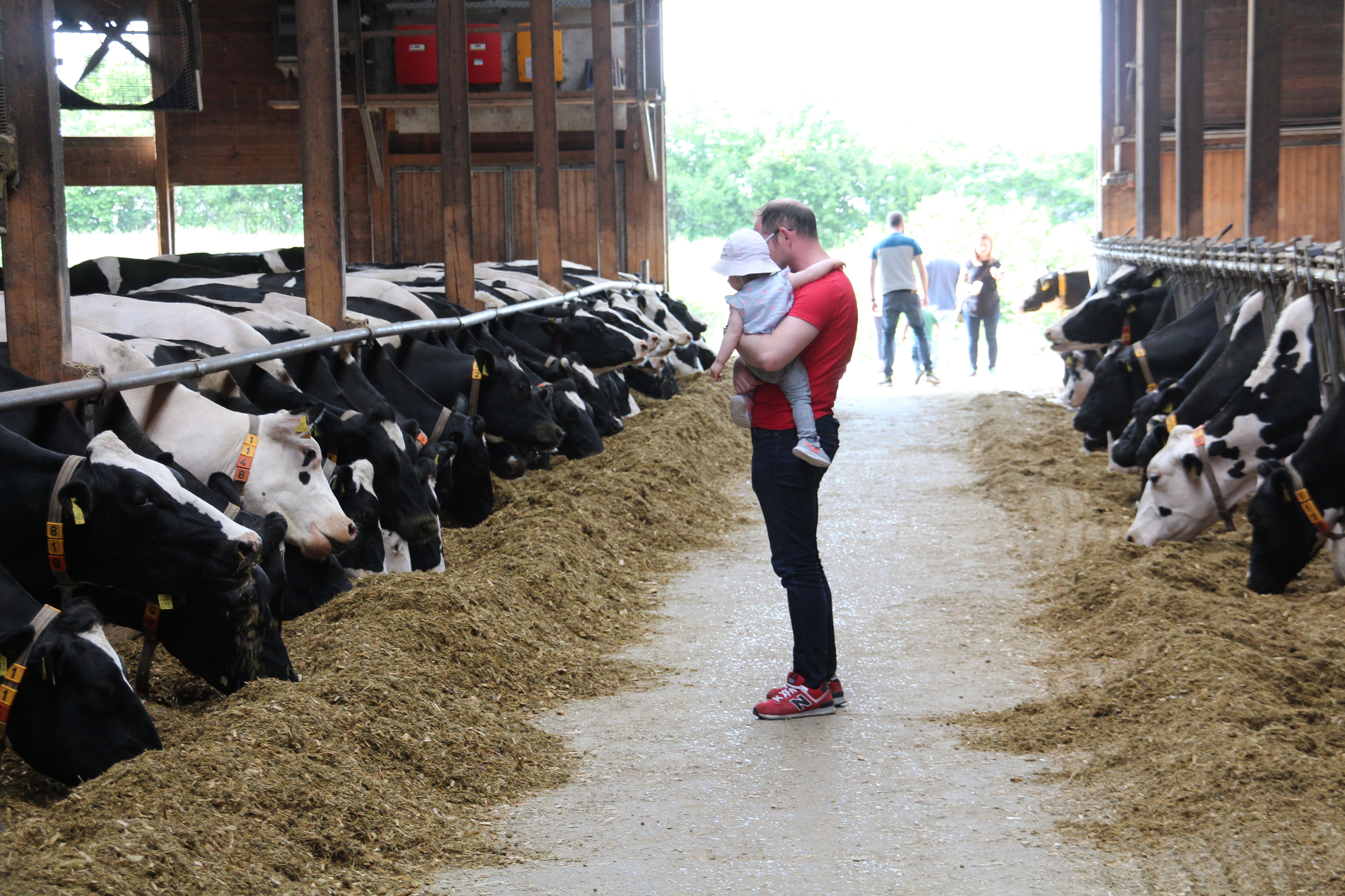 Landgut Nemt / Milchgut Nemt – Bild 3