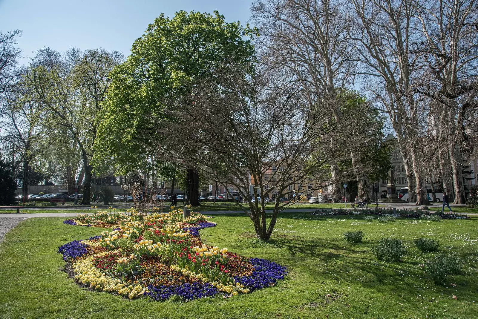 Stadtgarten – Bild 3