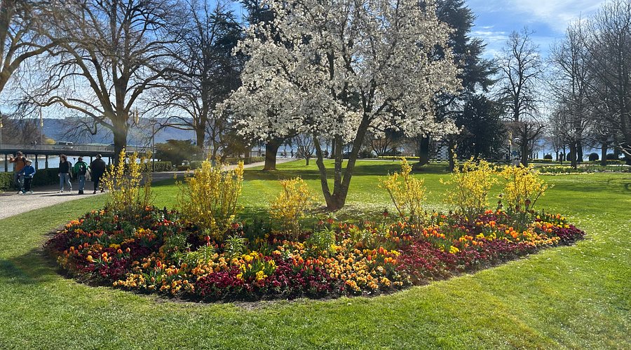 Stadtgarten – Bild 4