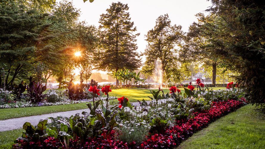 Stadtgarten – Bild 5