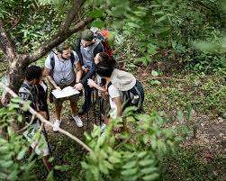 Seilpark Morschach – Bild 4