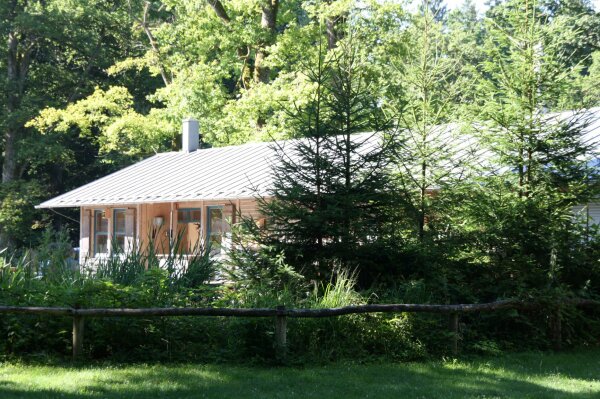 Wildschweingehege – Bild 6