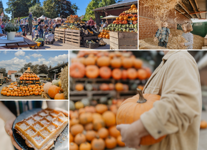 Papes Gemüsegarten - Hofladen Watenbüttel – Bild 5