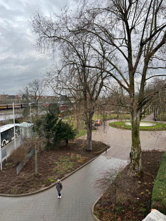 Albert-Schulte-Park – Bild 4