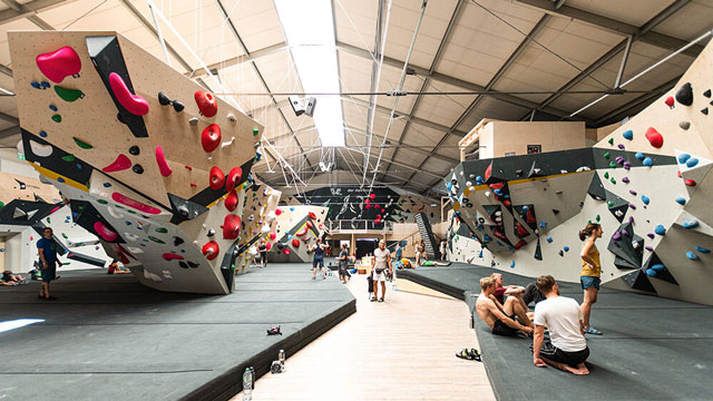 urban apes Hannover – Bild 2