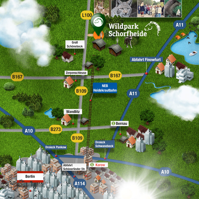 Wildpark Schorfheide – Bild 4