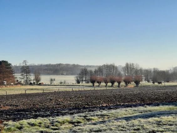 Bonnies Hof – Bild 3