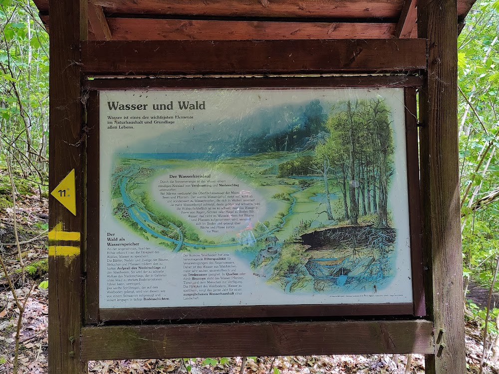 Walderlebnispfad Goslar – Bild 1