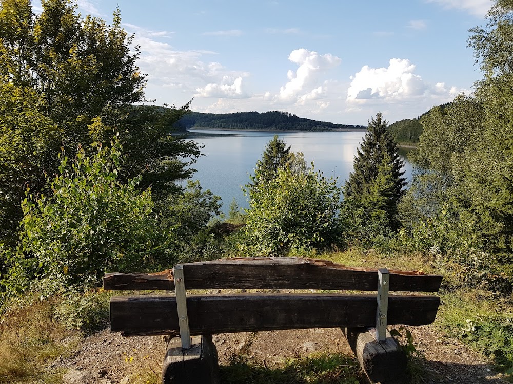 Walderlebnispfad Goslar – Bild 2