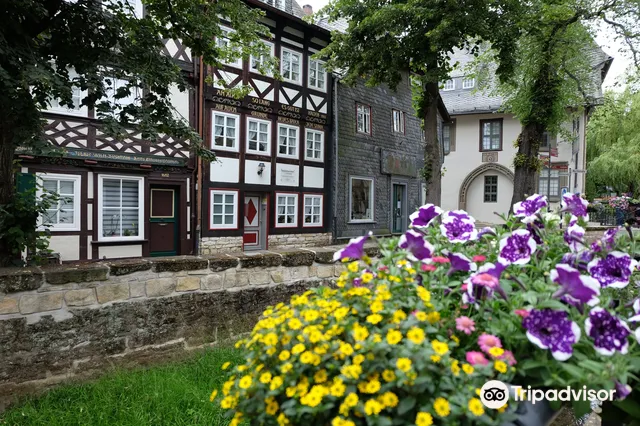 Walderlebnispfad Goslar – Bild 4