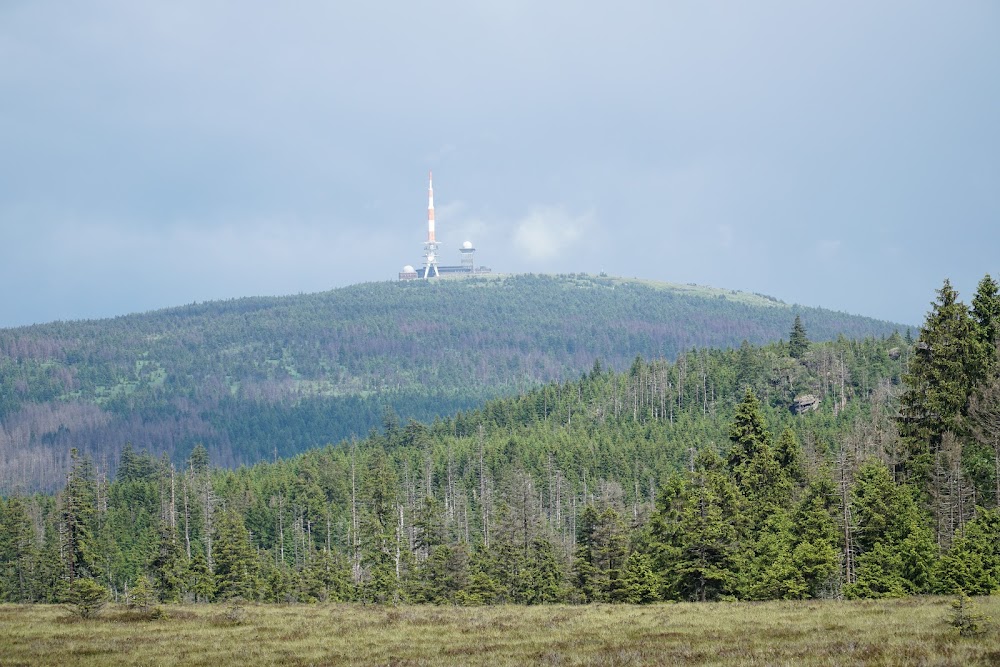 Walderlebnispfad Goslar – Bild 6