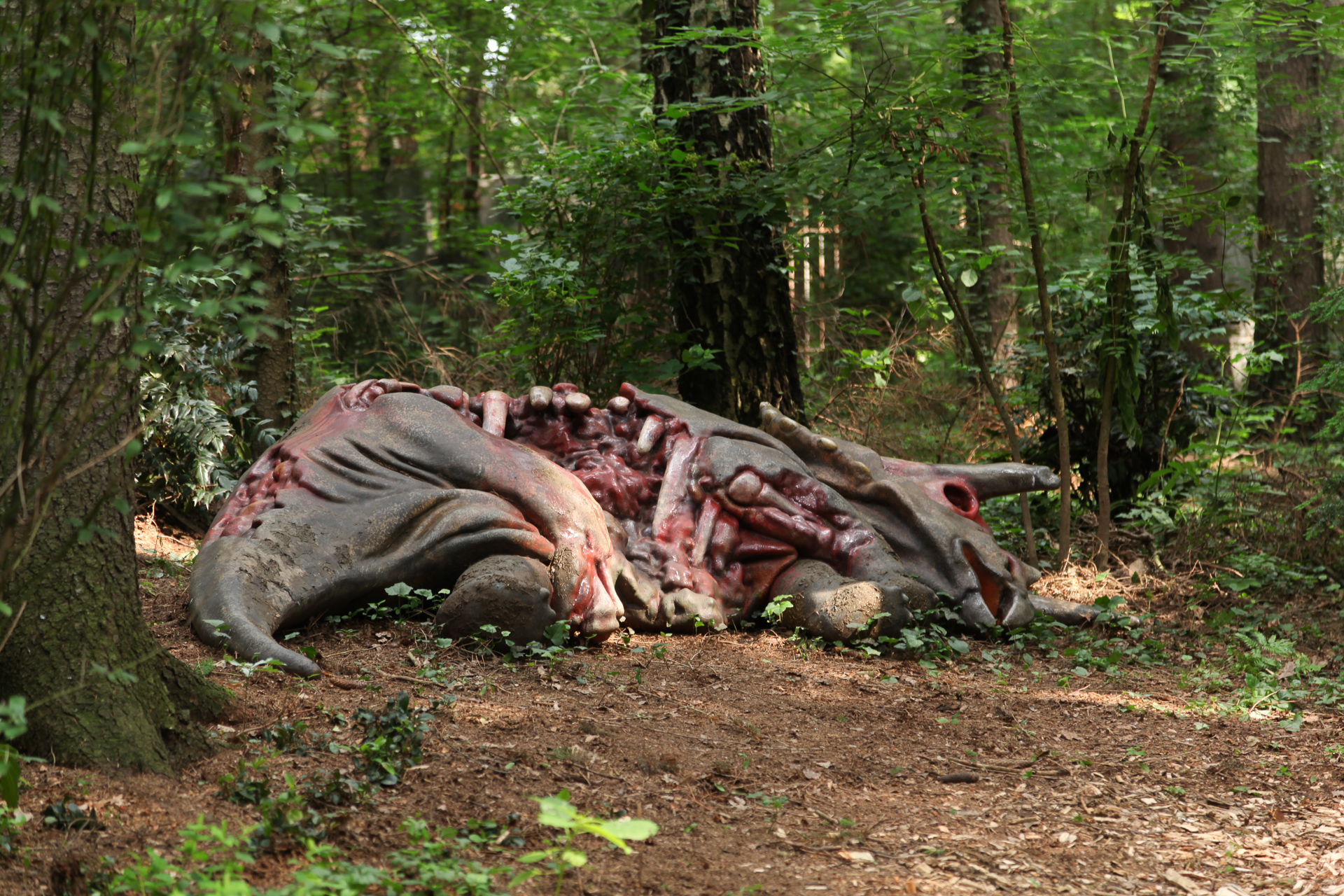 Vergessene Welt – Bild 1