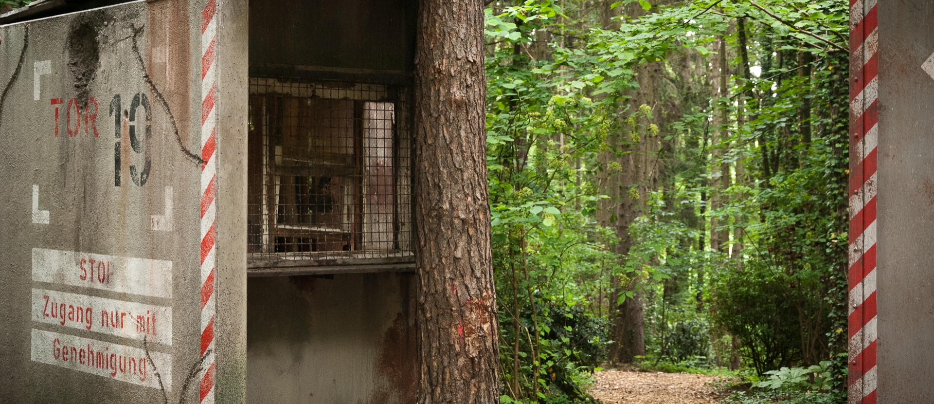 Vergessene Welt – Bild 5