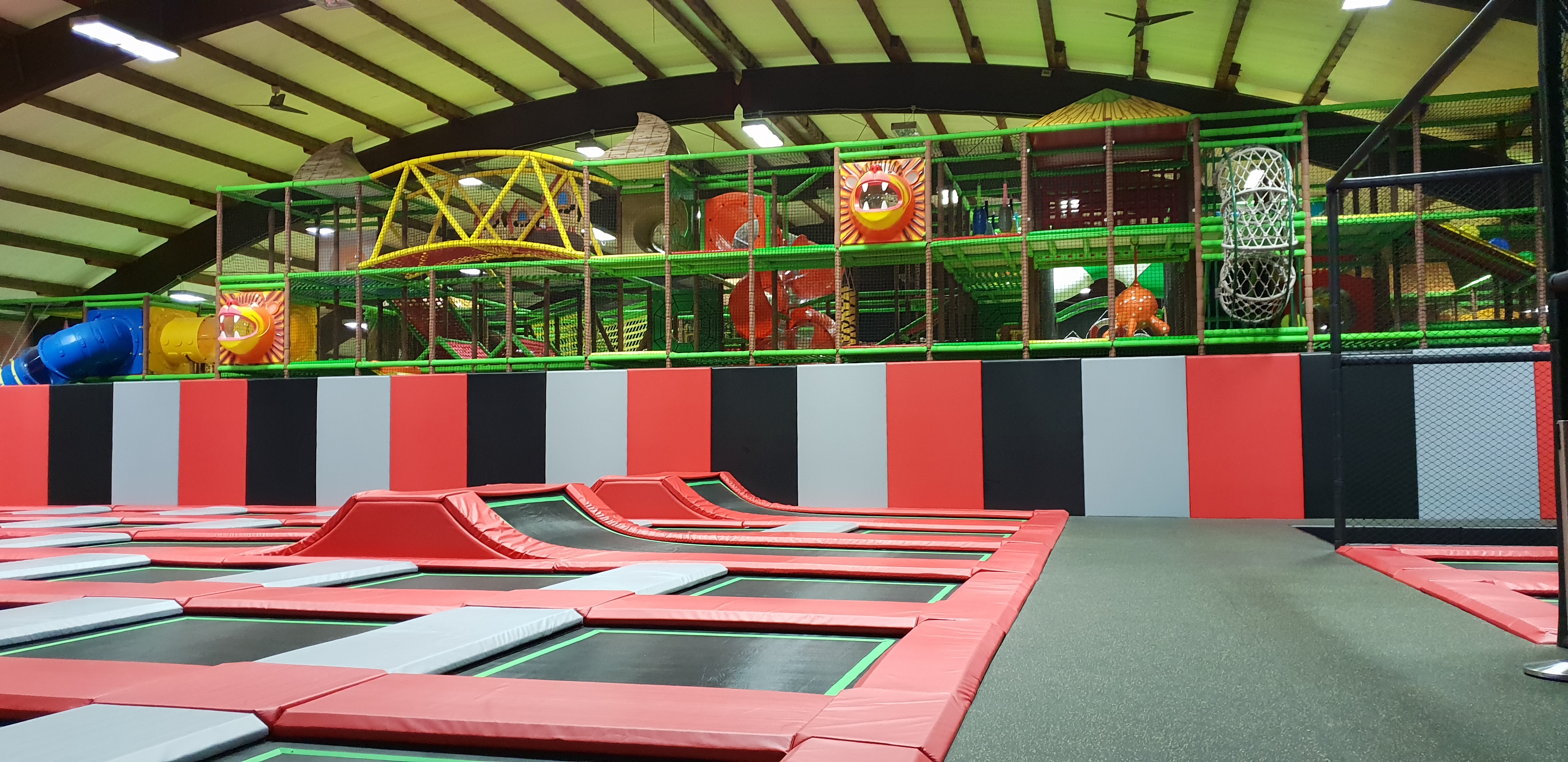 Känguroom – Bild 6