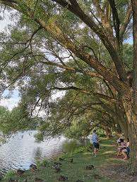 Arboretum Park – Bild 6