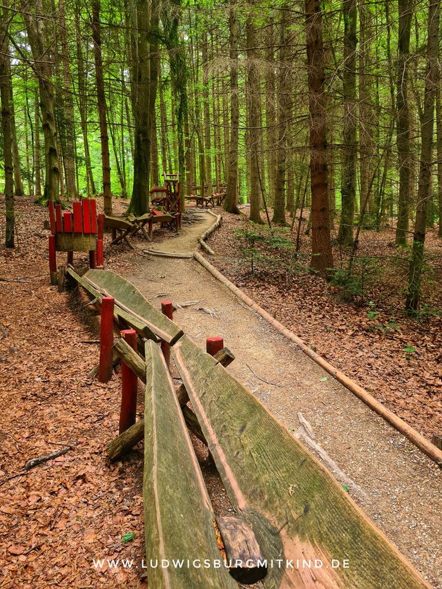 EINS+ALLES Erfahrungsfeld der Sinne – Bild 2