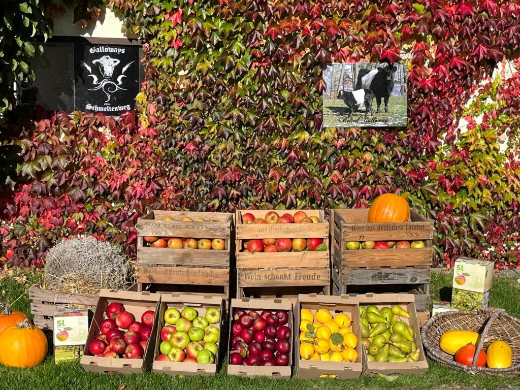 kuhlmanns hof – Bild 4