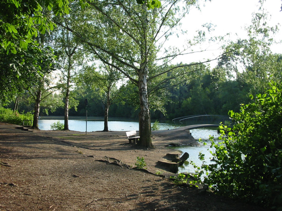 Schwanenteich – Bild 3