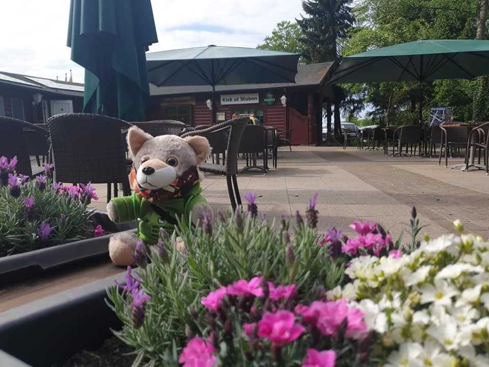 Wildpark Eekholt KG – Bild 2