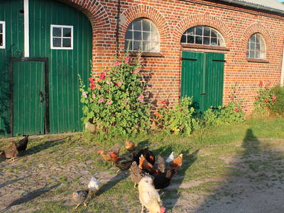 Hof Hospitalmühle – Bild 3