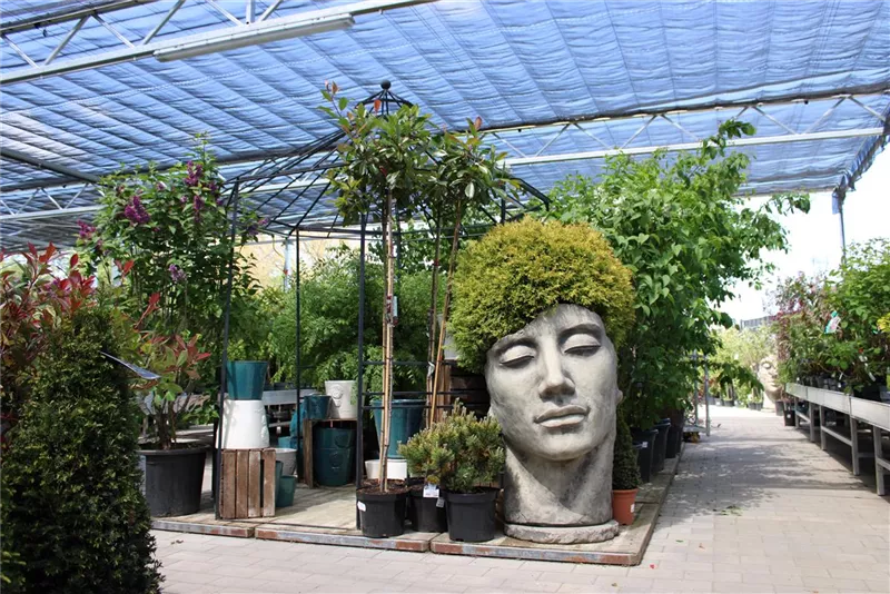 Gartencenter Holland Schwanebeck – Bild 5