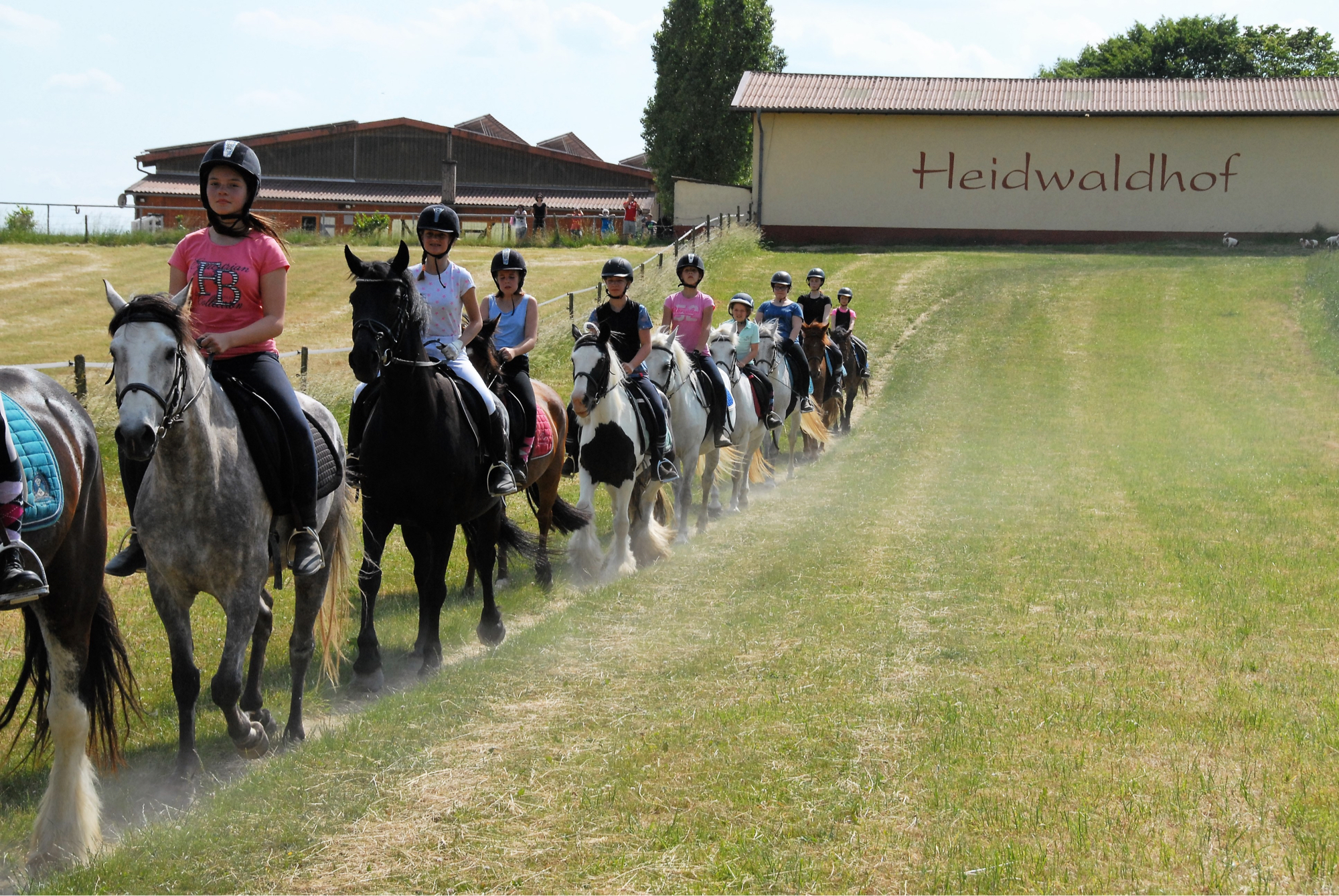 Reitanlage Heidwaldhof – Bild 3