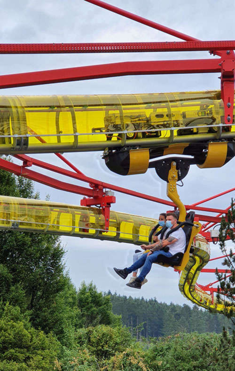 Hummel Brummel – Bild 2