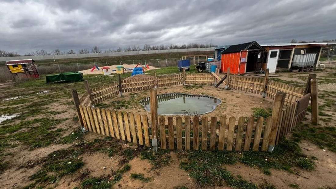 Juki - Farm – Bild 3