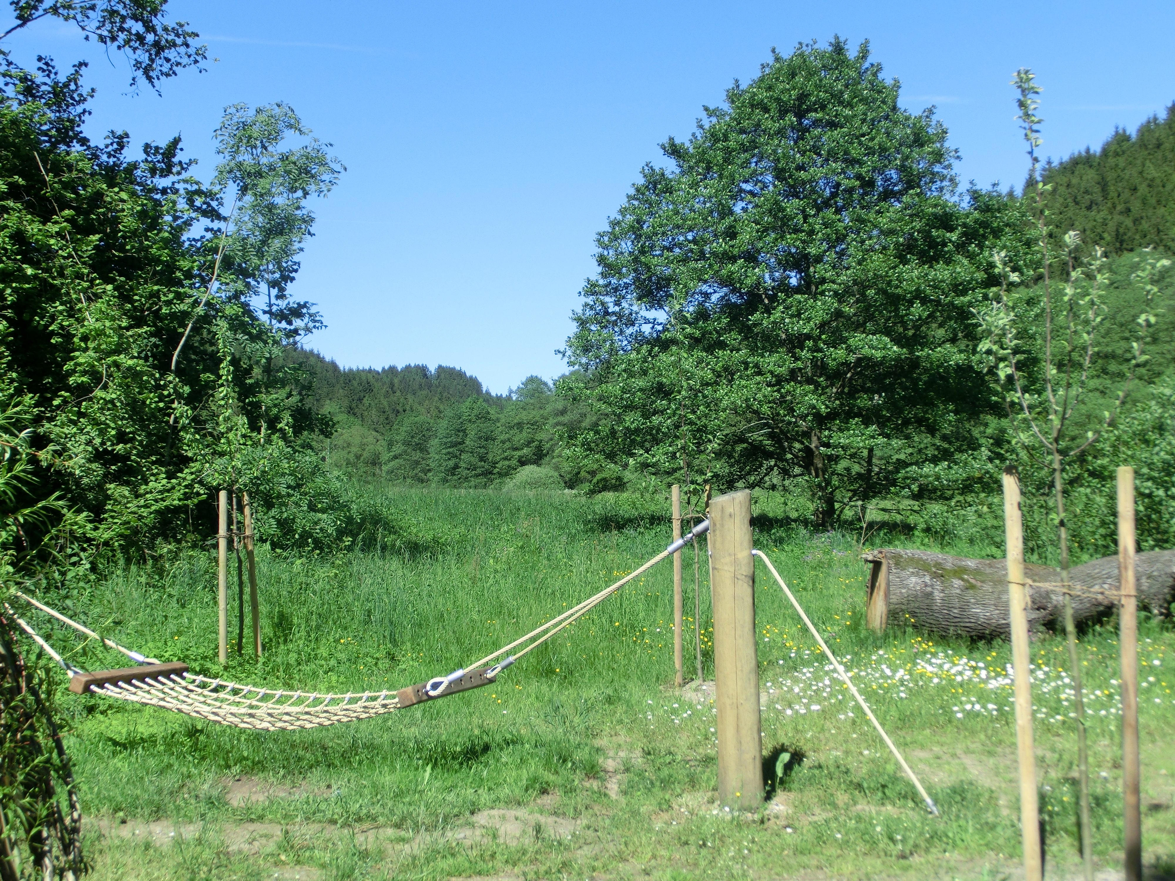 NaturErlebnis Leutnitztal – Bild 5