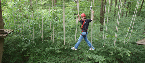 CS-Naturkonzepte – Bild 3