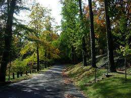 Bellevue Park – Bild 6