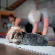 Blue Dot Acres – Bild 1