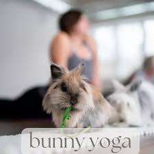 Blue Dot Acres – Bild 5