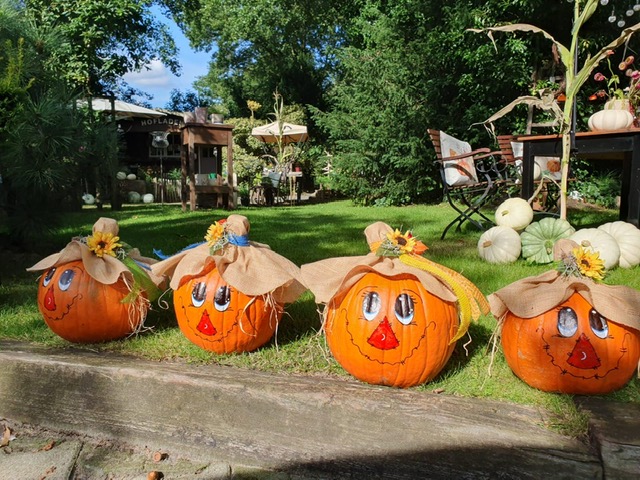 Kürbishof Sprengel – Bild 2