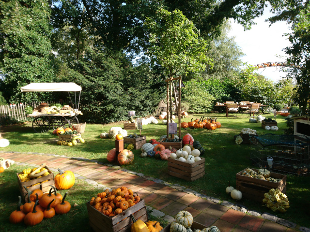 Kürbishof Sprengel – Bild 3