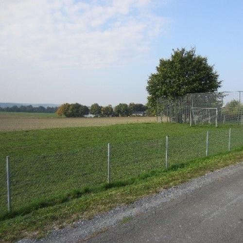 Bolzplatz "Taubeneiche" – Bild 1