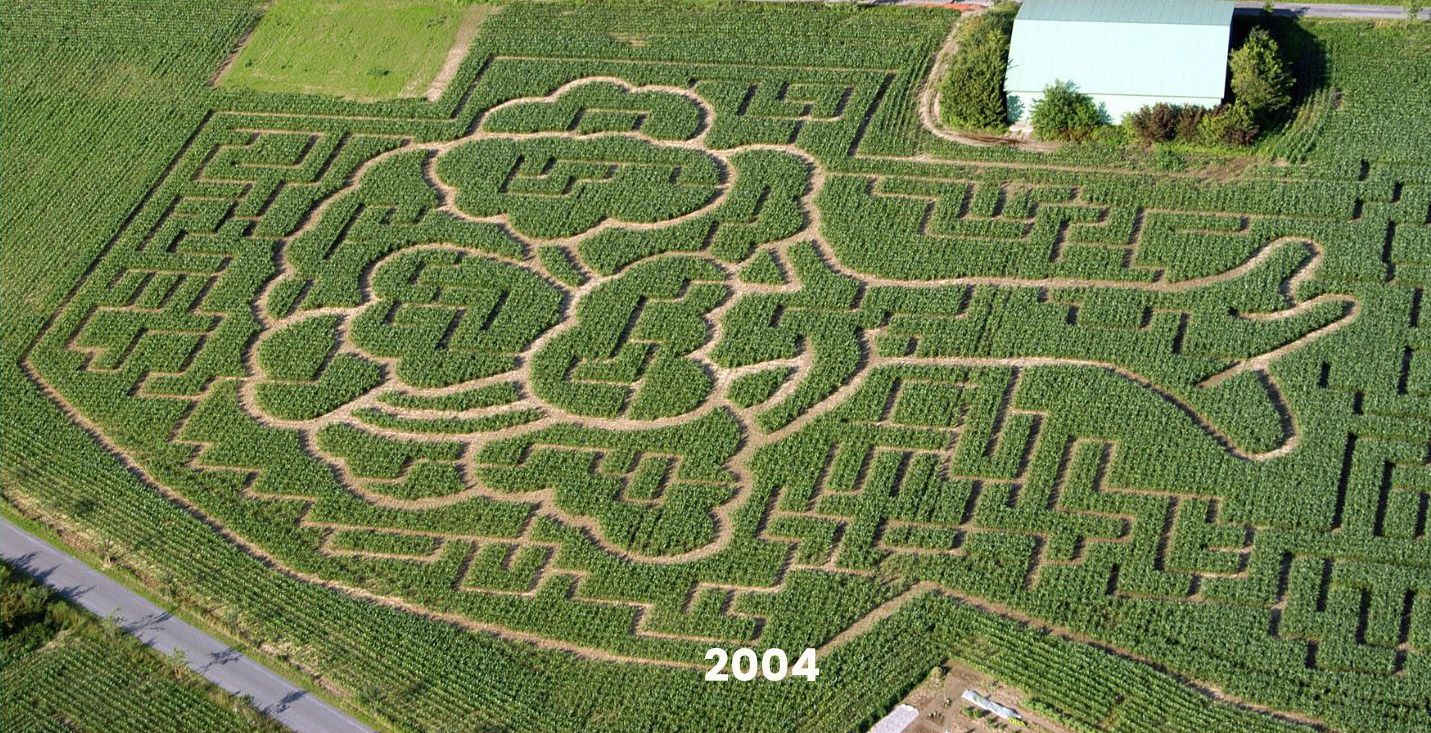 Erlebnis Mehringer Heide – Bild 6