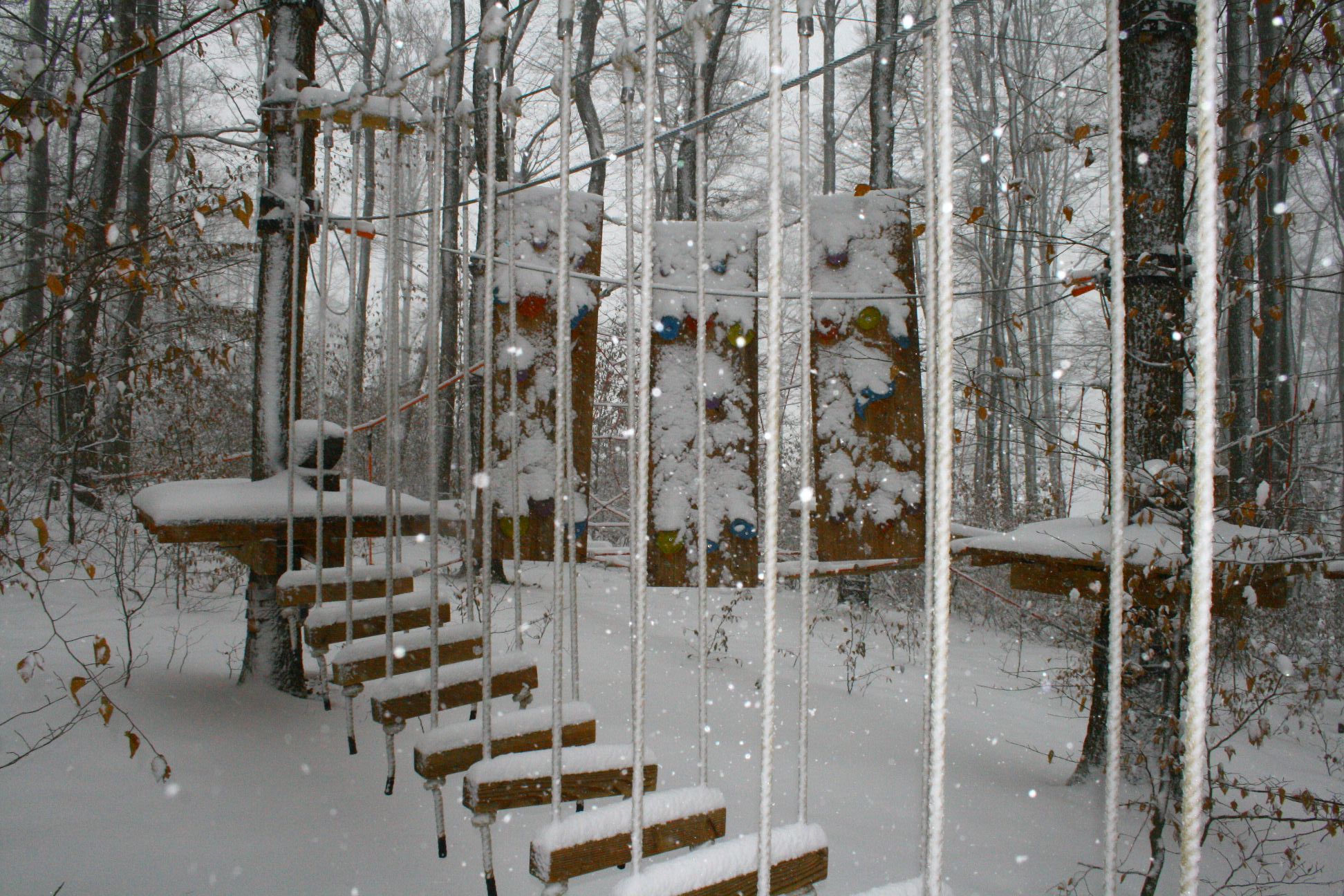 Kletterwald Freudenberg – Bild 4