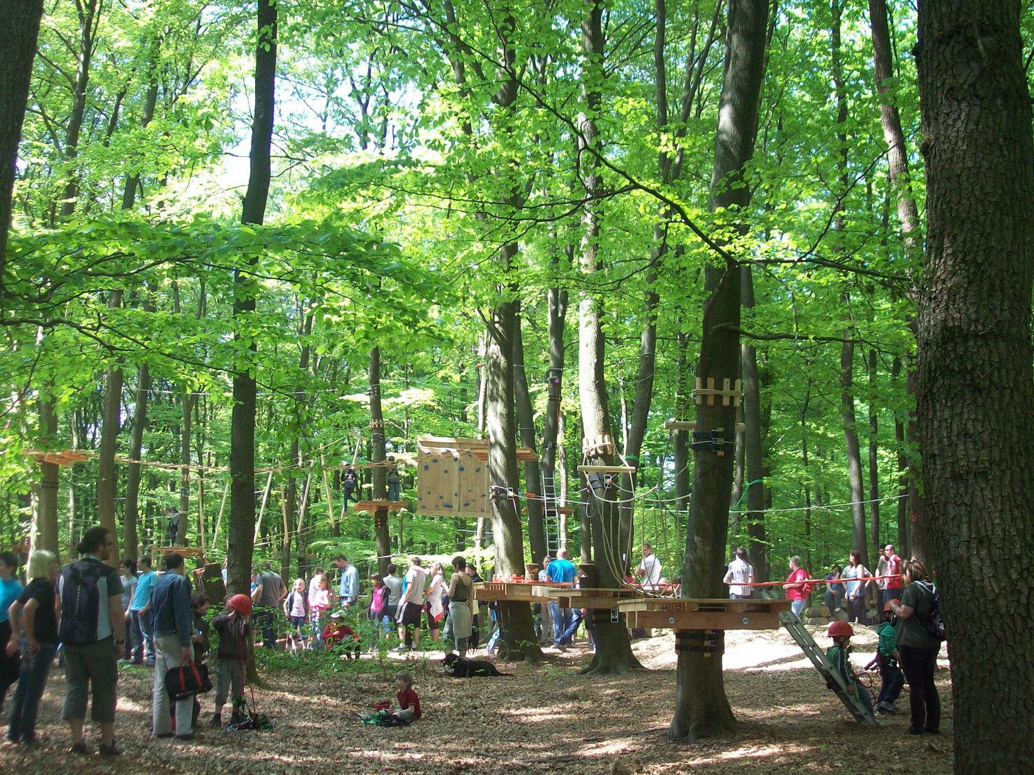 Kletterwald Freudenberg – Bild 5