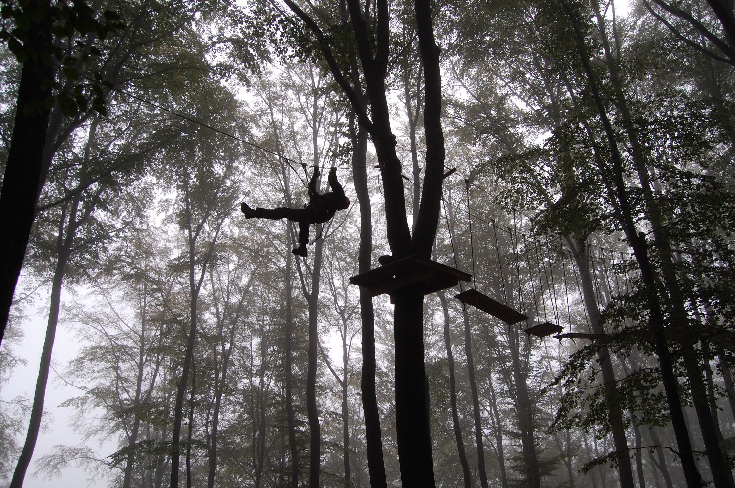 Kletterwald Freudenberg – Bild 6