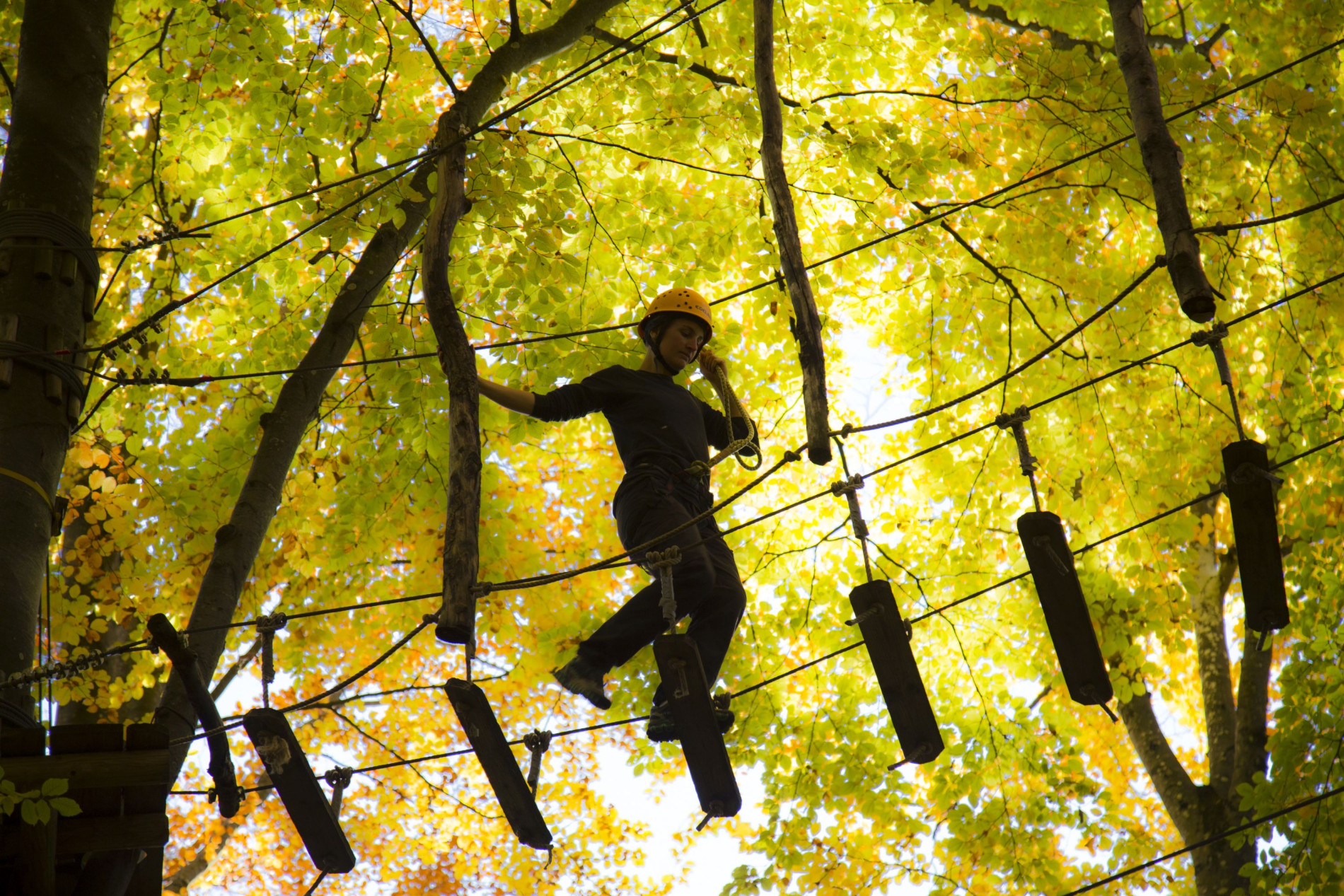 Kletterpark Waldheim – Bild 1