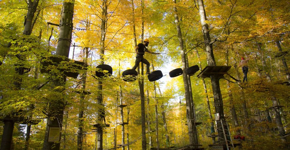 Kletterpark Waldheim – Bild 2