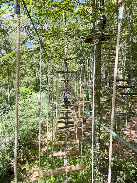 Kletterpark Waldheim – Bild 3