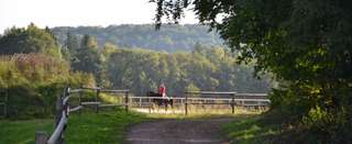 Reitsportzentrum Triebscheiderhof – Bild 2