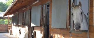 Reitsportzentrum Triebscheiderhof – Bild 4