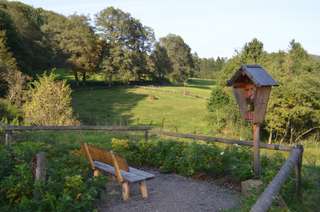 Reitsportzentrum Triebscheiderhof – Bild 5