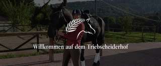 Reitsportzentrum Triebscheiderhof – Bild 6