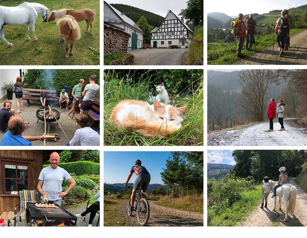 Dümpelmanns Hof – Bild 3