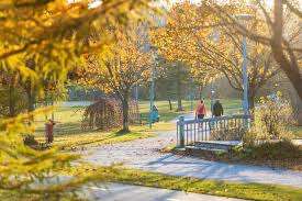 Parc rue Monseigneur Langis – Bild 6